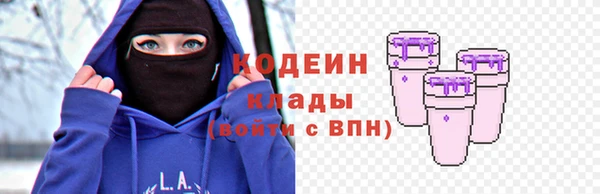 спиды Радужный